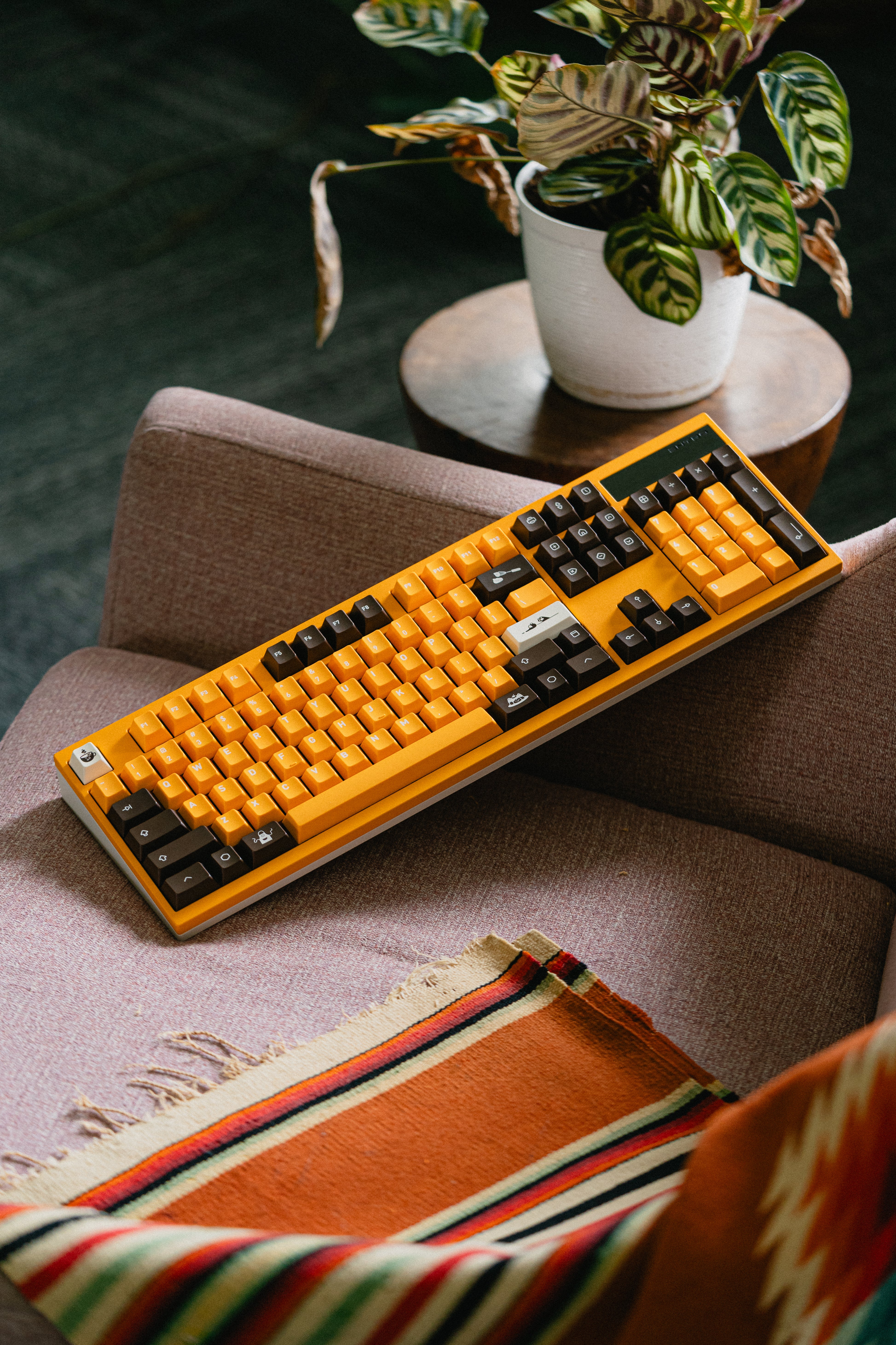 KCH Nekoccino – Omnitype®