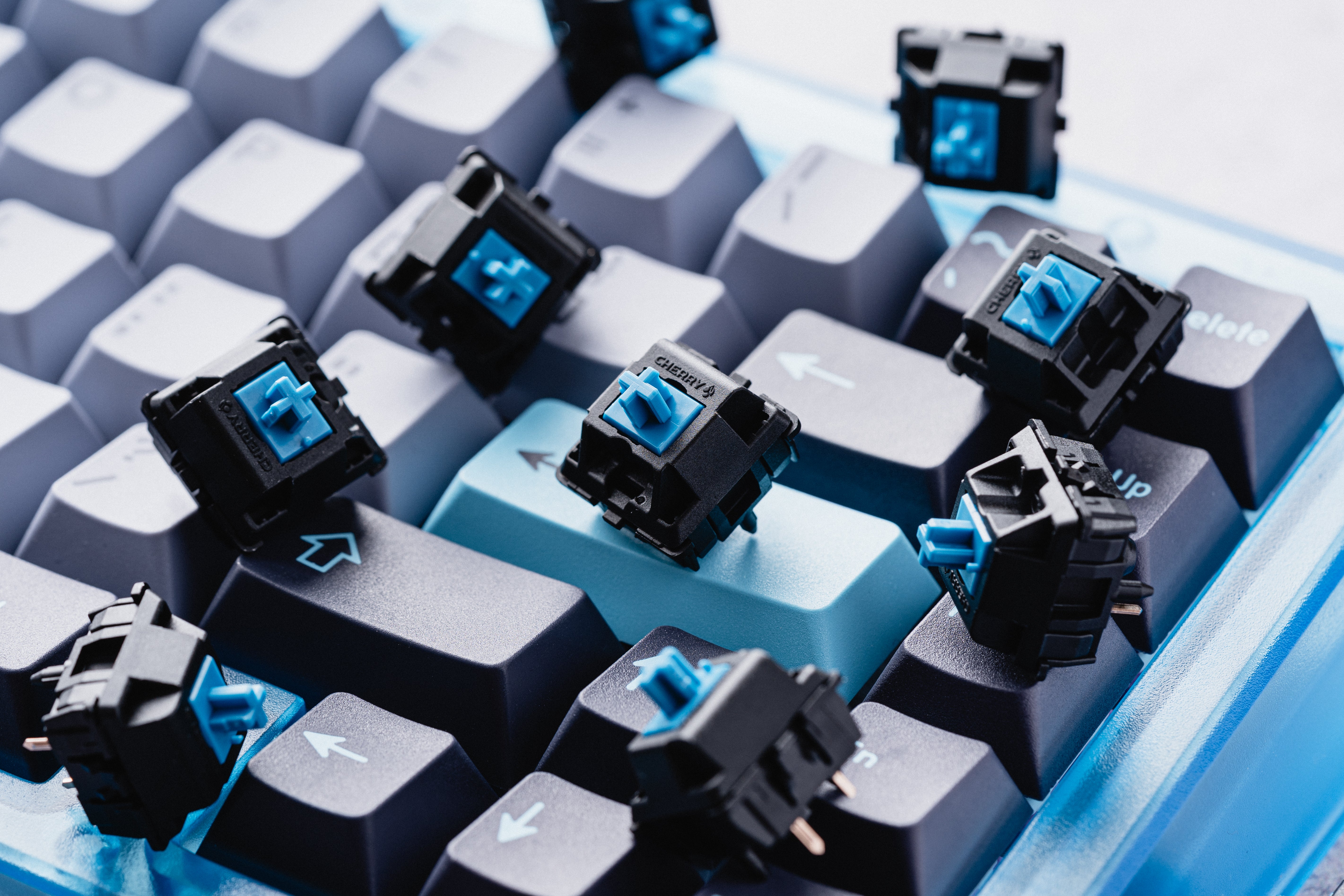 MX2A Blue Clicky Switches – Omnitype®