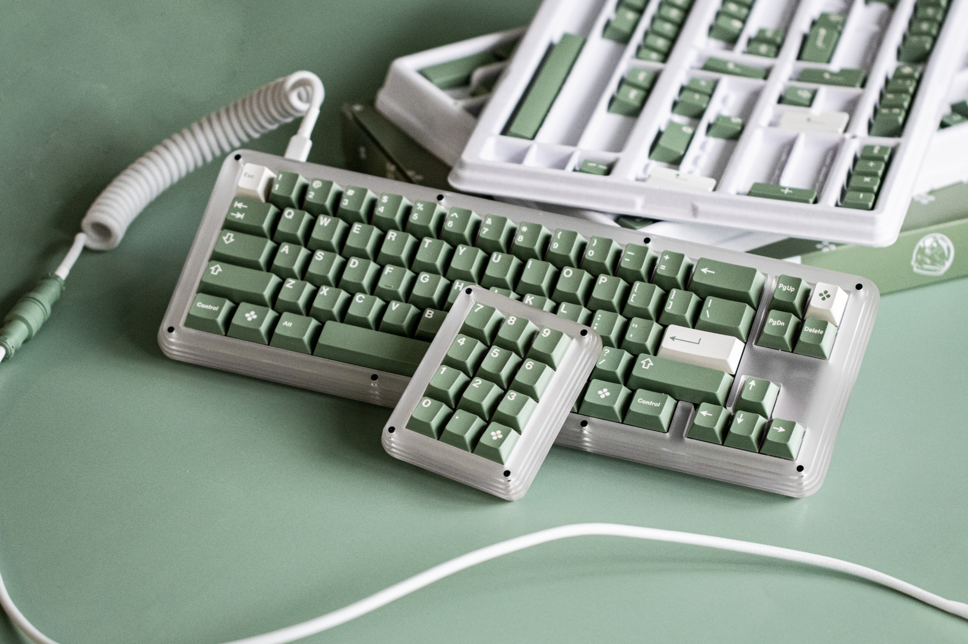 GMK Dandy (CYL) – Omnitype®