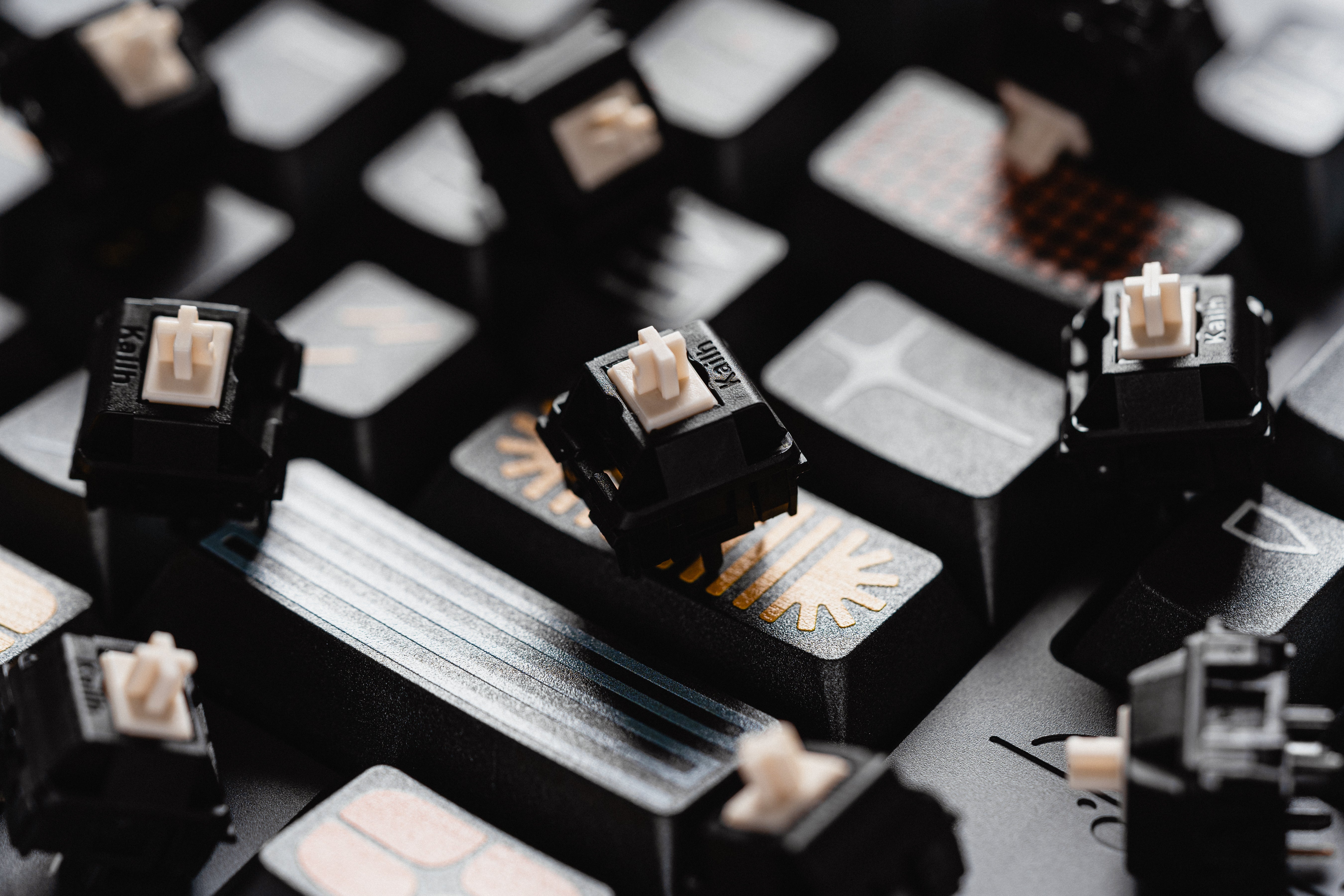 BCP Linear Switches – Omnitype®
