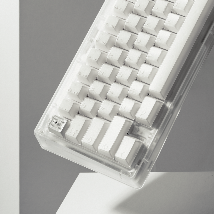 PBTfans X-Ray – Omnitype® PBTfans X-Ray – Omnitype®